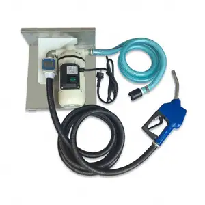 CE Certificate 40L/min 12V 24V 220V Urea AdBlue Transfer Pump Set Kit including Nozzle Meter and Hose