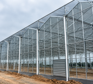 Serre agricole multi-travées Skyplant à économie d'énergie avec film PE et panneaux isolants à double paroi pour une faible perte de chaleur toute l'année - Product Image 1