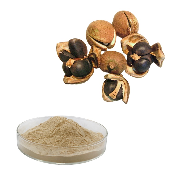 Tea seed saponin supplier Tea seed saponin supplier