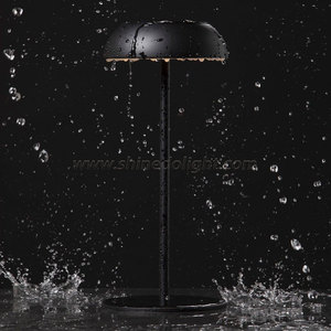 New Đơn Giản Bàn Cao Sạc Phòng Ngủ Đèn Bầu Không Khí Đèn Mô Hình Phòng Ánh Sáng Ban Đêm - Product Image 6