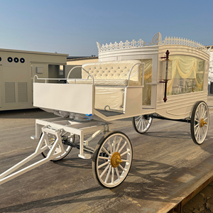 Coche Fúnebre Eléctrico, Carruaje de Ataúd de Lujo Dorado, Carroza Fúnebre en Venta - Product Image 1