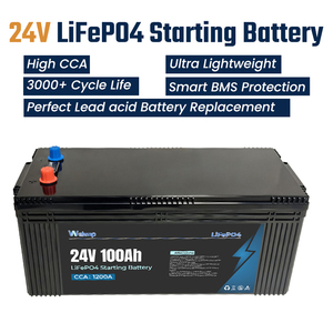 Batteria di Avviamento a Ciclo Profondo 24V 100Ah a Bassa Autoscarica con Protezione BMS, 1200CCA per Camion Pesanti/Camper/Nautica - Product Image 2