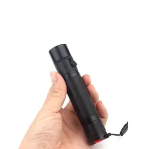 365NM UV Flashlight Customized Logo USB-C Rechargeable Mini Ultraviolet 5W LED UV Torch 18650 USB Black Light Flashlight