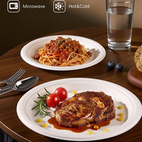 Assiettes modernes en bagasse jetables et compostables de 10 pouces, grises, robustes, lot de 100 pour événements de mariage