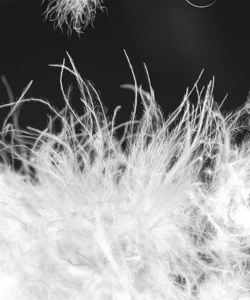 उच्च गुणवत्ता वाले कस्टम पुरुषों के स्लिम चमड़े की जैकेट सर्दियों मोटी प्यूफ फैशन फोम रबर मैस्कुड ज़िप कढ़ाई कपड़े - Product Image 5