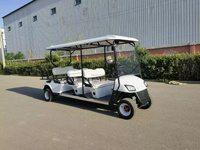 Voiturette de golf électrique tout-terrain 3-4 places avec pare-brise pliable, porte-sacs de golf et suspension indépendante pour parcours de golf