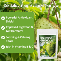 Thé minceur à base de feuilles de corossol (graviola) en sachet, marque privée, favorise le métabolisme et la digestion, riche en nutriments