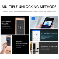 Vente en gros de serrures de porte intelligentes sans clé TTlock, serrures à carte IC, à mot de passe, à application NFC