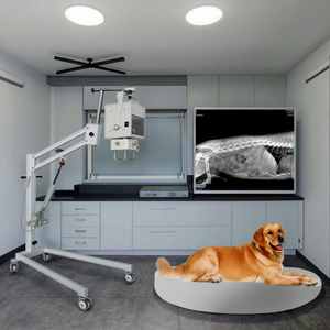 Máquina de cámara de fotos veterinaria de rayos X para <span class=keywords><strong>centro</strong></span> de imágenes médicas para diagnóstico de mascotas - Product Image 4