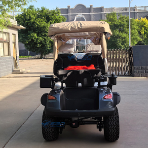 Carrito de Golf Eléctrico de 2 Plazas XCEGO, Nuevo Diseño, 48V, con Certificación CE, Velocidad de 30 km/h y Alcance de 90 km - Product Image 6