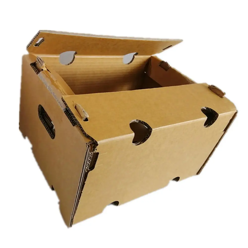 Cartone ondulato duro personalizzato ricicla 5 strati che imballano il cartone della scatola della verdura di frutta per i prodotti freschi agricoli