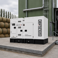 Groupe électrogène diesel insonorisé Cummins 125 kVA, 100 kW, refroidi par eau, sans balais, fabriqué en usine OEM