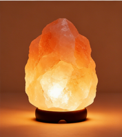 Lampe en sel rose de l'Himalaya naturel, lampe en sel cristallin sculptée à la main, décoration d'intérieur, veilleuse