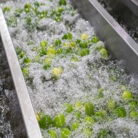 Natuurlijke Waterextract Citrus Flavonoid Naringin Hoge Zuiverheid 95% Poeder Voedingskwaliteit HAPPC/IS0 22000 Fruitextract
