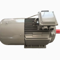 Moteur servo synchrone à aimants permanents (PMSM) à entraînement direct, à couple élevé et faible vitesse, personnalisé Dormay, efficacité IE4, cadre 250 mm