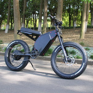 Lốp Xe Đạp Điện Phổ Biến Nhất 72V 5000W E Bike Fat Tire Xe Đạp Điện - Product Image 2