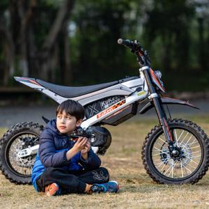 Envío Rápido en la UE, Motocicleta Eléctrica Todoterreno de Alto Rendimiento con Motor sin Escobillas de 48 V y 2000 W, Tres Velocidades, 48 V 20.8 Ah - Product Image 1