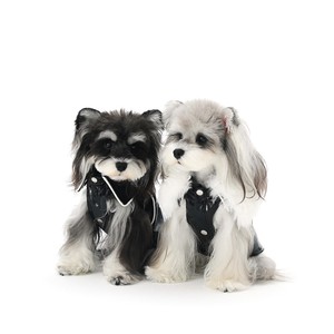 ZHONGYA Haustierzubehör Meistverkaufte Schwarze Lederjacke für Haustiere Passende Hundebekleidung Modische und Wasserdichte Hundejacke - Product Image 2