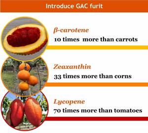 Groothandel Plant Extract Gac Fruit Extract Poeder Cochinchina Momordica Extract - Product Image 2