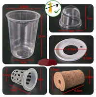 Pot de semis hydroponique, petit pot de fleurs, pot de semis, conteneurs de culture aquatique, gobelet transparent, pots de pépinière avec dôme d'humidité