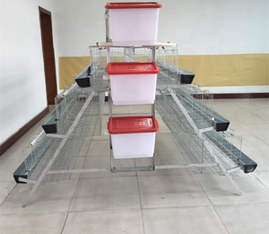 Senegal Mạ Kẽm Tự Động Nông Nghiệp Thiết Bị Loại Một Multitier Trứng Đẻ Gà Lớp Pin Thép Lồng - Product Image 6