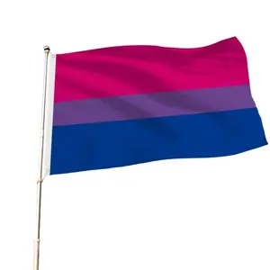 Venta caliente 3 * 5ft Poliéster Banderas promocionales Banners Custom Flying Bandera Gay Pride LGBT Rainbow Flags