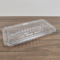 Contenitore Rettangolare in Plastica PET Trasparente Monouso per Imballaggio Frutta, Scatola da 250g per Mirtilli