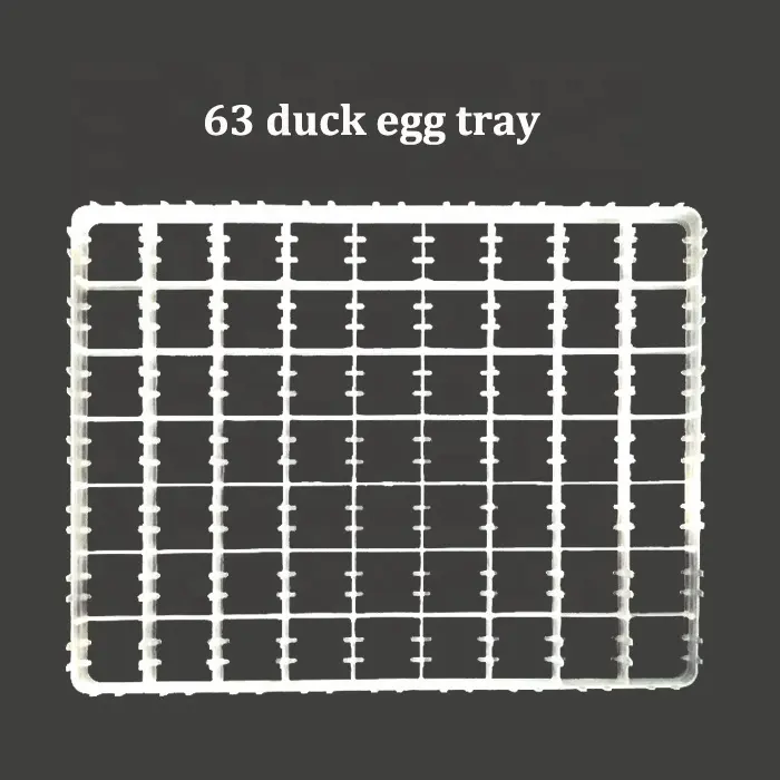 Beste Qualität 63 Enten eier Tablett für Inkubator Kunststoff Eier ablage