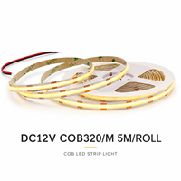Bande lumineuse LED flexible intelligente pour extérieur, grande taille, IP20, 24V, 4000K, télécommande, pour la décoration paysagère, vente en gros