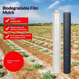 <span class=keywords><strong>Film</strong></span> de paillage PE entièrement biodégradable, s'adapte au cycle de croissance des cultures, résout la pollution blanche, améliore la fertilité - Product Image 5