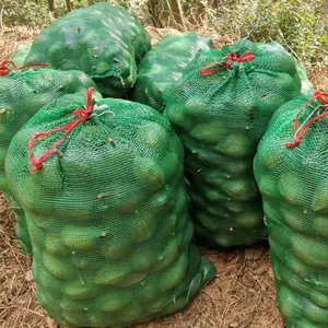 Túi Lưới <span class=keywords><strong>PP</strong></span> Túi Lưới Rau Củ Cho Khoai Tây Hoặc Hành Tây Túi Lưới <span class=keywords><strong>PP</strong></span> Chất Lượng Tốt Giá Rẻ Cho Hành Tây - Product Image 2