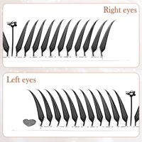 Extensions de cils Anime Spire, Nouveau style Fox Spire, Forme plumeuse style manga, 0.07mm, Mix 8-15mm, Cils volume