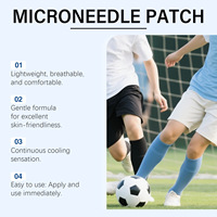 Patch de Soin des Jambes Doux pour Usage Quotidien, 4 Pièces par Boîte, OEM ODM, Étiquette Personnalisée, Marque Privée, Respectueux de la Peau, En Stock
