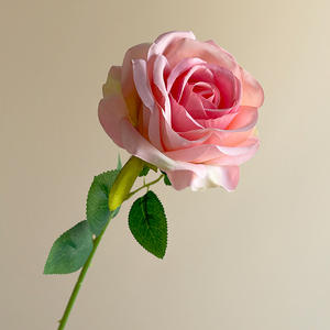 Roses artificielles en velours en gros, en vrac, rouges, blanches, bleues, roses, noires, violettes, fleurs décoratives personnalisées - Product Image 6