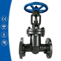 Katup Gerbang Baja Cor Berflens Ganda untuk Air Limbah, Tahan Logam, 150LB 4 inci WCB, Harga untuk Pemanas Daerah