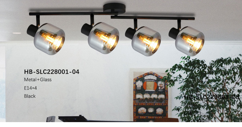 HB-SLC228004    HB-SLC228004