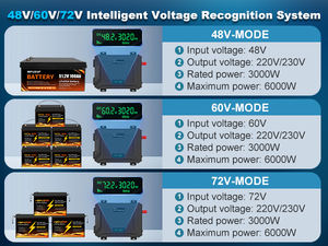 EU op voorraad Datouboss zuivere sinusgolf omvormer zonne-energie EU voorraad off-grid omvormer generator 72v 60v 48v 220v 230v 3000w - Product Image 2