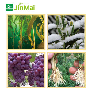 חומר גלם לדשן אורגני, פפטידים נוזליים וחומצות אמינו, ביוסטימולנט מבוסס חלבון מיקרוביאלי בריכוז גבוה - Product Image 5