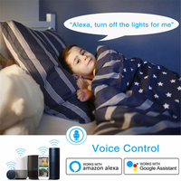 Tuya 16A prise WiFi intelligente prise intelligente Double prise WiFi EU travail Alexa et Google Home Compatible 2 prises