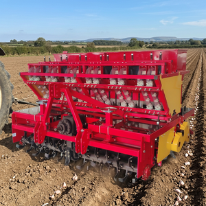 Semoir à ail automatique à prix abordable, planteur de gousses d'ail haute précision, machine agricole pour le marché mondial - Product Image 4