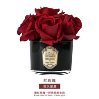 FLORESCENCE Ensemble diffuseur à rose artificielle immortelle DIY en verre sans BPA, écologique, aromathérapie longue durée