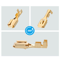 Conector de Batería de Coche con Resorte y Clavija Cuadrada para Motocicleta, Conector Cuadrado de 6.3, Terminal de Cableado de 6.3, DJ621-B6.3B
