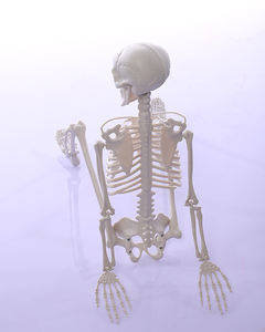 할로윈 해골 시뮬레이션 인간 해골 유령의 집 파티 장식 소품 공포 해골 - Product Image 6