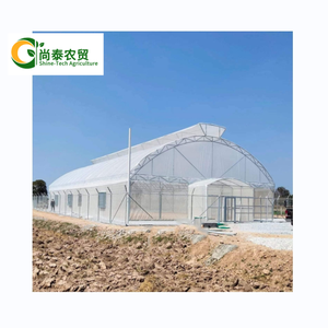 Túnel de invernadero agrícola de clima tropical, arco de Material PE pequeño adecuado de Sudáfrica - Product Image 6