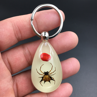 Nouvelle mode porte-clés en résine ambre véritable insecte porte-clés cadeau vente en gros porte-clés en plastique