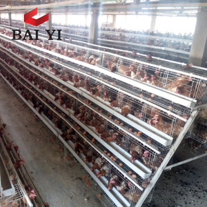 5 tầng 200 chim đẻ gà mái rwanda gia cầm trang trại gà lớp lồng - Product Image 4