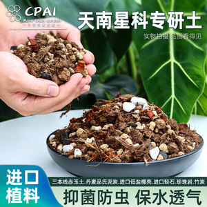 Crai Araceae – Substrat spécial hautement nutritif en granulés pour plantes d'intérieur - Product Image 4