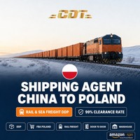 Tarifa DDP Todo Incluido con Doble Despacho de Aduanas, Envío LCL + Express de 6-9 Días desde Shenzhen a Francia (FR) para Mercancías de Alto Valor, Agente de Carga Aérea a Polonia