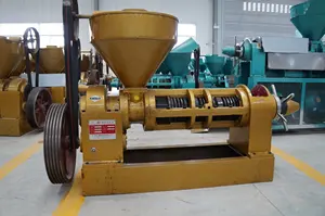 10 тонн/день YZYX140 винтовой Масляный Пресс арахисовое масло машина для экстракции в продаже