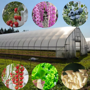 Serre agricole Sinok à dôme tunnel, simple travée, 30/40/<span class=keywords><strong>60</strong></span>*8m, avec ventilation latérale, style chinois, pour fraises, à <span class=keywords><strong>vendre</strong></span> - Product Image 2
